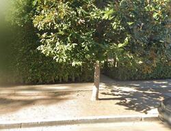 Pre-foreclosure in  N OGDEN DR Los Angeles, CA 90046