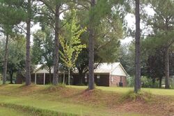  Stinson Rd, Georgiana AL