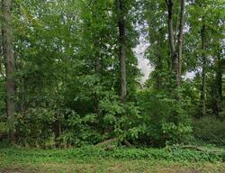  N Edgar Rd, Mason MI