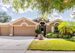 Pre-foreclosure in  ALLWOOD AVE Valrico, FL 33596