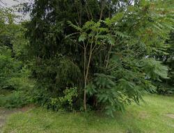  Granite St, Youngstown OH