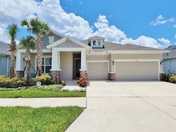 Pre-foreclosure in  FREHLEY RUN Land O Lakes, FL 34638