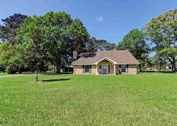 Pre-foreclosure in  CRAIGEN RD Beaumont, TX 77705