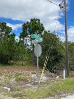 Pre-foreclosure in  W PERRY RD Avon Park, FL 33825