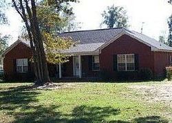 Pre-foreclosure in  GA HIGHWAY 144 Glennville, GA 30427