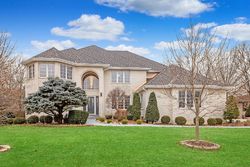 Pre-foreclosure in  SINGLETREE RD Orland Park, IL 60467