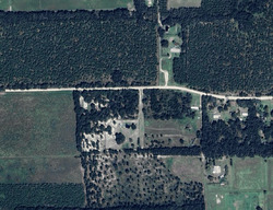 Pre-foreclosure in  SW BUCKLEY LN Lake City, FL 32024