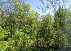 Pre-foreclosure in  BLOUNT ST Macon, GA 31206