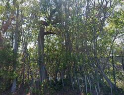 Pre-foreclosure in  LA ALTURA RD Beverly Hills, CA 90210