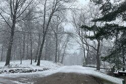 Pre-foreclosure in  CAYUGA RD Lake Orion, MI 48362