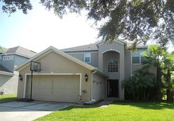 Pre-foreclosure in  CYPRESS REACH LN Tampa, FL 33647