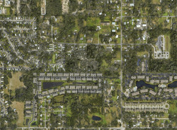 Pre-foreclosure in  ASHBURN LAKE DR Tampa, FL 33610