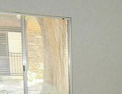 Pre-foreclosure in  INDIAN RIVER DR UNIT 363 Las Vegas, NV 89103