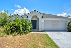 Pre-foreclosure in  NW WATERLILY PL Jensen Beach, FL 34957