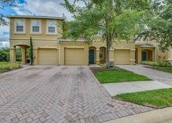 Pre-foreclosure in  STINCHAR DR Land O Lakes, FL 34638