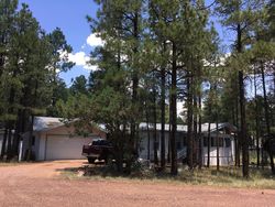 Pre-foreclosure in  PONY RD Overgaard, AZ 85933