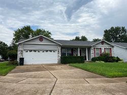 Pre-foreclosure in  ELEPHANT WALK Imperial, MO 63052