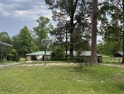 Pre-foreclosure Listing in LAKEVIEW DR DOYLINE, LA 71023