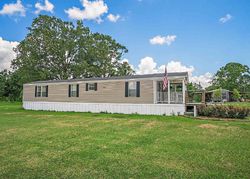 Pre-foreclosure Listing in GUNBOAT LANDING RD MAUREPAS, LA 70449