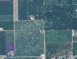  E Comstock Rd, Stockton CA