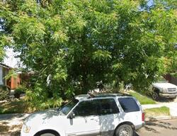 Pre-foreclosure in  BROWNING CT Brentwood, CA 94513