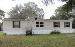 Pre-foreclosure in  NE 30TH CT Citra, FL 32113