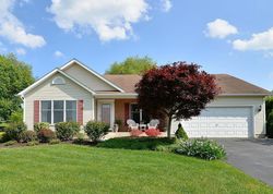 Pre-foreclosure in  MANDA CT Middletown, MD 21769