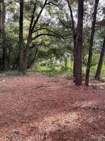 Pre-foreclosure in  FRAZIER ST Pensacola, FL 32514