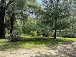 Pre-foreclosure in  NW 63RD TER Bell, FL 32619