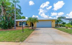 Pre-foreclosure in  APPLEWOOD DR Titusville, FL 32780