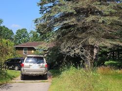 Pre-foreclosure Listing in IVEY RD CHELSEA, MI 48118