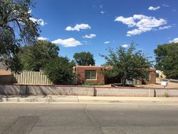 Pre-foreclosure in  LA LUZ DR NW Albuquerque, NM 87107