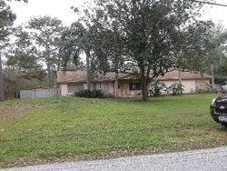 Pre-foreclosure in  BRIDLEPATH CT Lutz, FL 33558