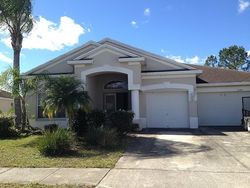 Pre-foreclosure in  BOLD VENTURE PL Wesley Chapel, FL 33544