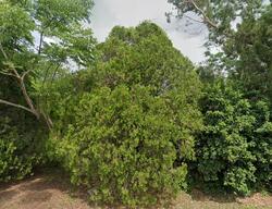 Pre-foreclosure in  TERRELL RD Mount Dora, FL 32757