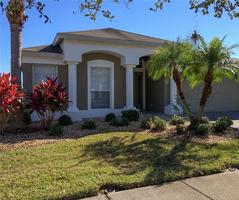 Pre-foreclosure in  SHELBOURNE CT Wesley Chapel, FL 33543