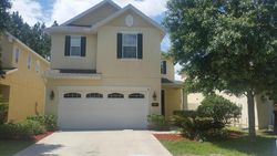 Pre-foreclosure in  BRIAR VIEW DR Orange Park, FL 32065