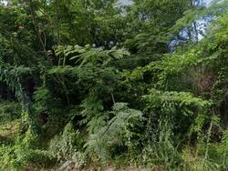 Pre-foreclosure in  ORCHARD AVE Macon, GA 31201