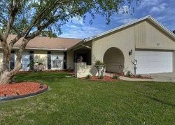 Pre-foreclosure in  MORNINGHIGH DR Lutz, FL 33549