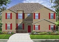 Pre-foreclosure in  ORANGE MILL AVE Ruskin, FL 33570