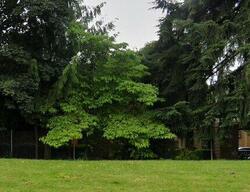 Pre-foreclosure Listing in NE 128TH ST APT 29 KIRKLAND, WA 98034