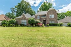 Pre-foreclosure in  WOOD MILLS DR E Cordova, TN 38016