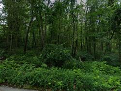 Pre-foreclosure in  MUMFORD ST Douglas, MA 01516