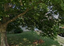 Pre-foreclosure in  TREMONT AVE Medford, NY 11763