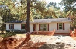 Pre-foreclosure Listing in SHERWOOD TRL NEWTON, AL 36352