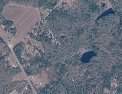  Asmond Park Ln, Saint Matthews SC