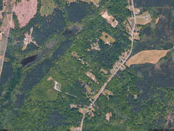 Pre-foreclosure Listing in MACEDONIA RD WOODFORD, VA 22580