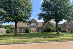  Brunswick Farms Dr, Arlington TN