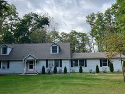 Pre-foreclosure in  MADSEN DR Ortonville, MI 48462