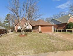 Pre-foreclosure in  PECAN TRCE Memphis, TN 38135